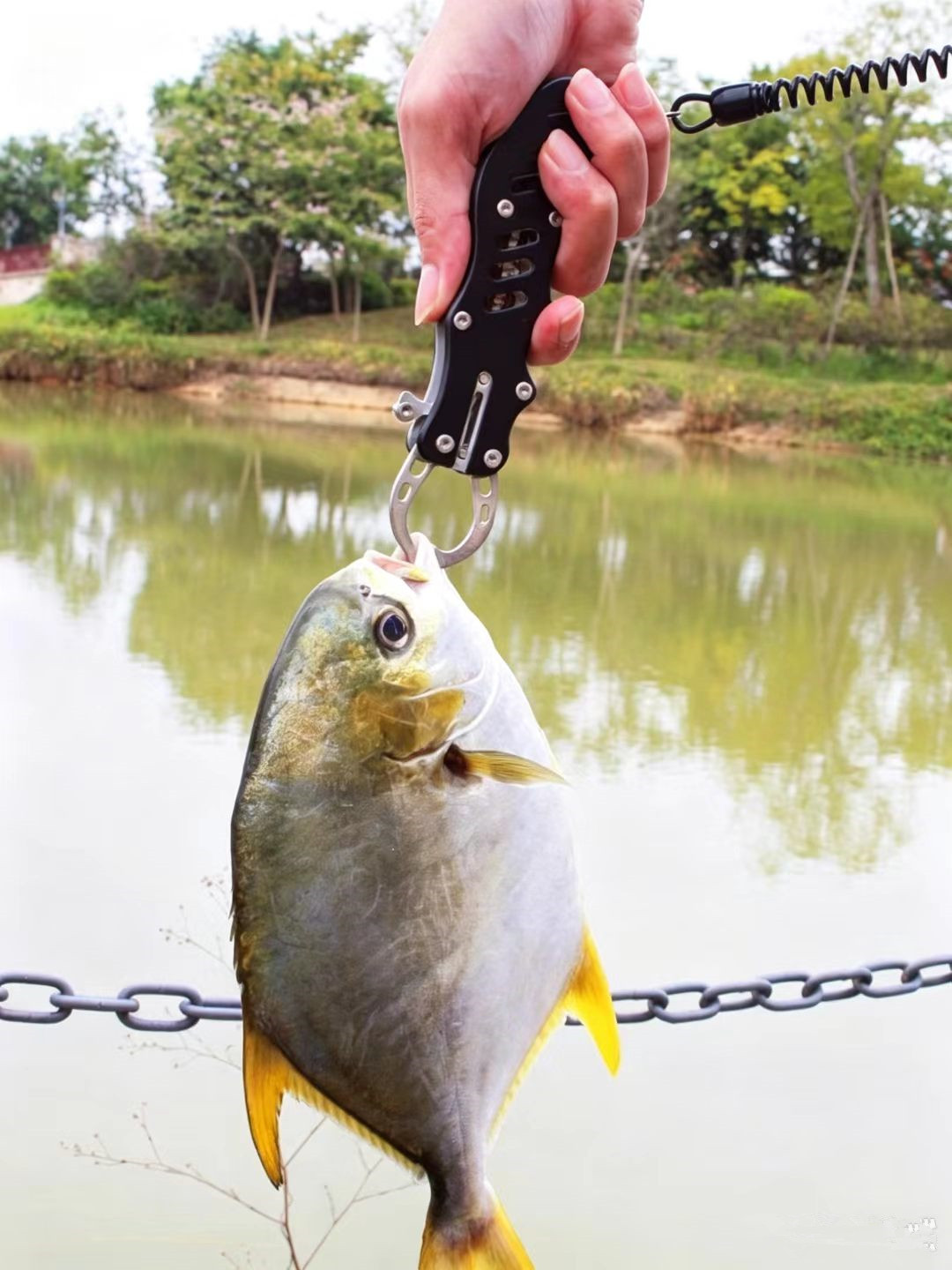 多機能ステンレス製ハサミ、鋭利な刃のカッター、携帯用魚掴み器 - Fishing Line Cutter のレビューと価格